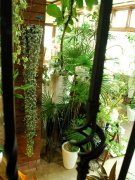 神奈川県大和市の花屋　北島生花店